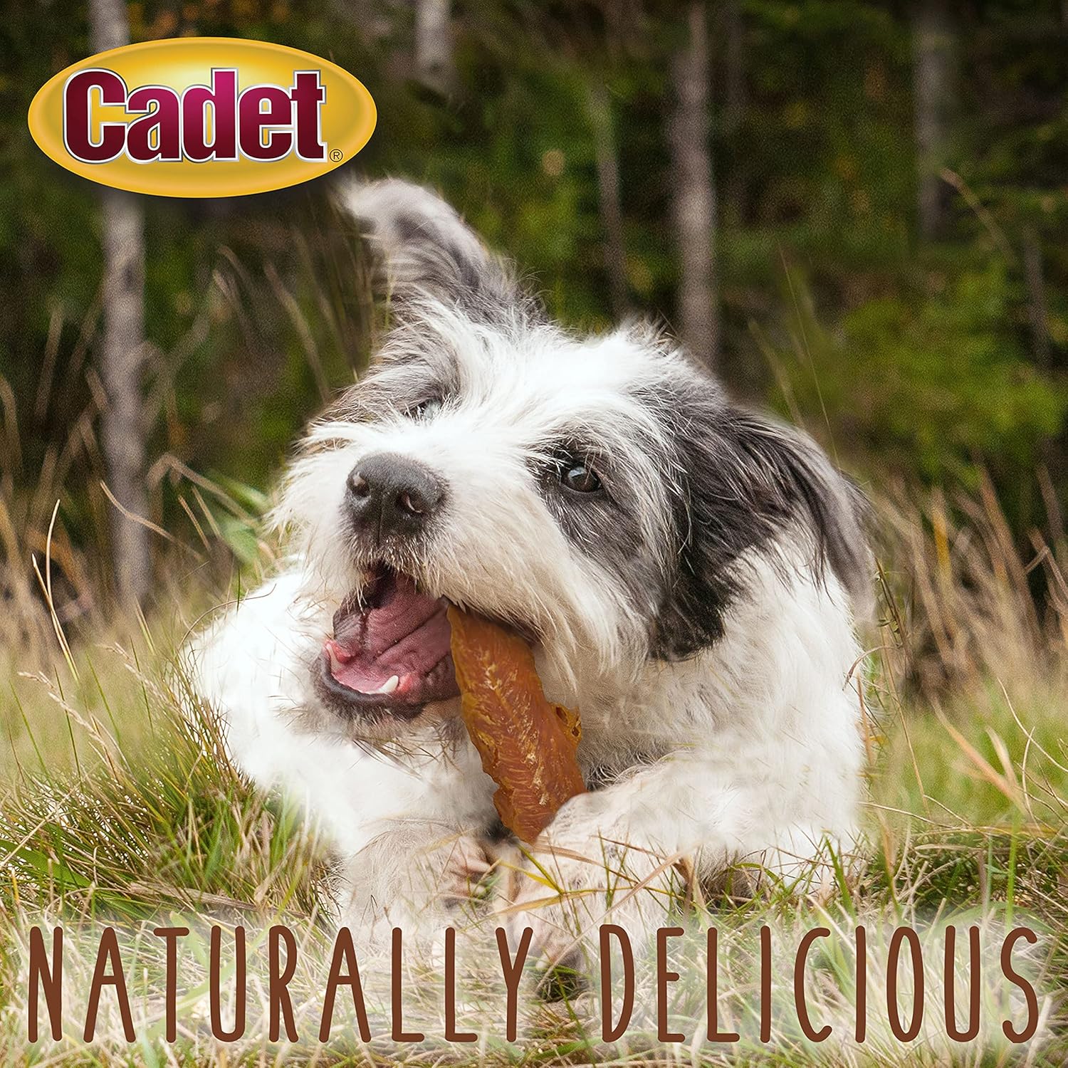 Cadet 3 oz. Chicken Breast  Dog Treats & Chews