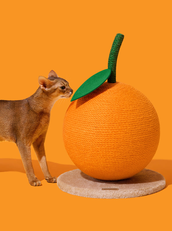 VETRESKA Tangerine Cat Scratching Ball