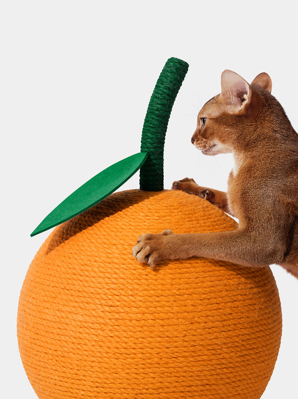 VETRESKA Tangerine Cat Scratching Ball