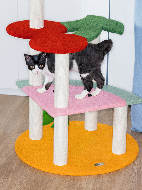 VETRESKA Fruit Frenzy Cat Climber