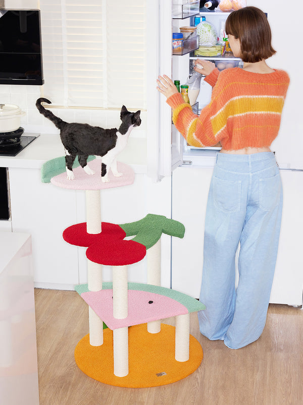 VETRESKA Fruit Frenzy Cat Climber