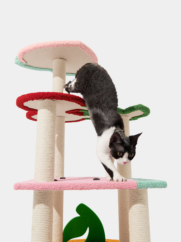 VETRESKA Fruit Frenzy Cat Climber