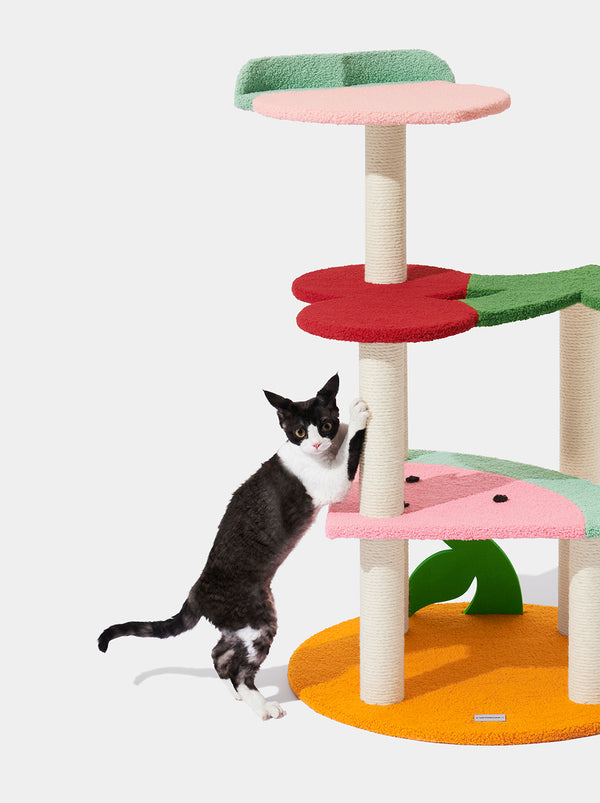 VETRESKA Fruit Frenzy Cat Climber