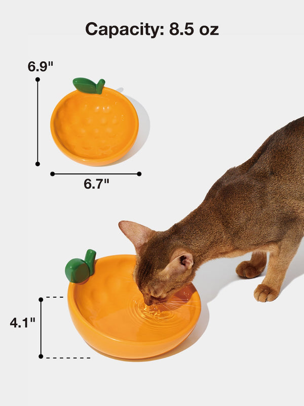 VETRESKA Tangerine Ceramic Pet Bowl