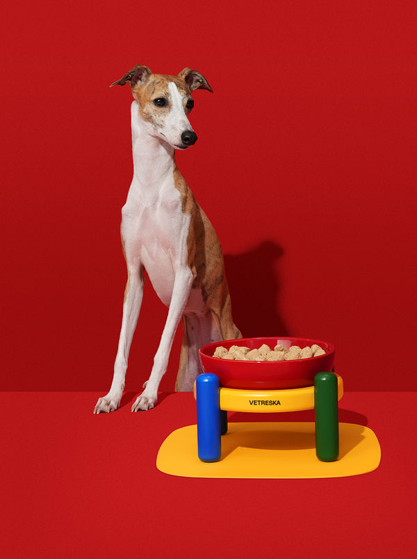 VETRESKA Chroma Pet Bowl & Mat Set (M)