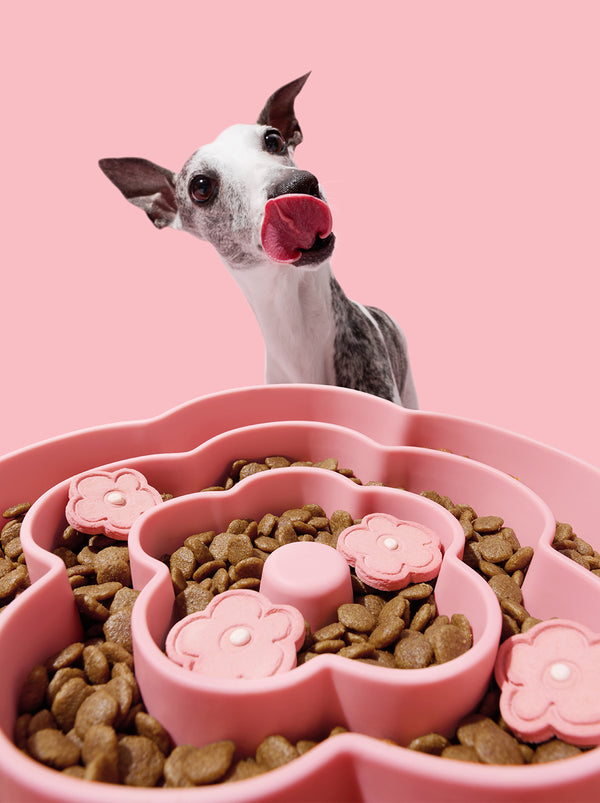VETRESKA Flora Silicone Pet Slow Feeder