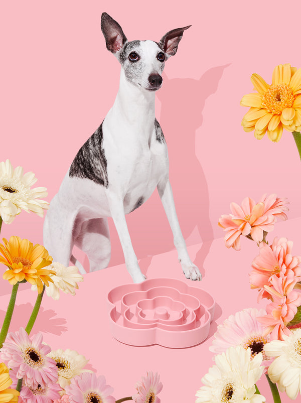 VETRESKA Flora Silicone Pet Slow Feeder