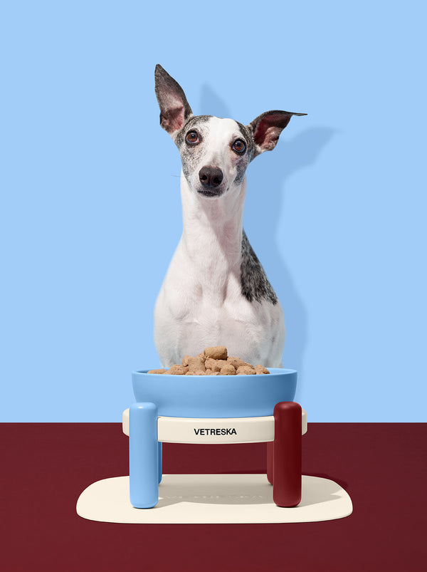 VETRESKA Mist and Merlot Pet Bowl & Mat Set (M)