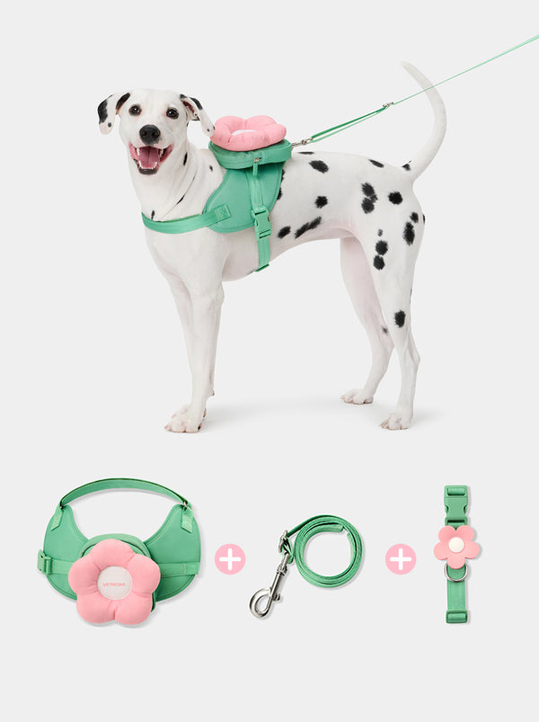 VETRESKA Flora Pet Backpack & Harness 3 in 1 Set (XS)