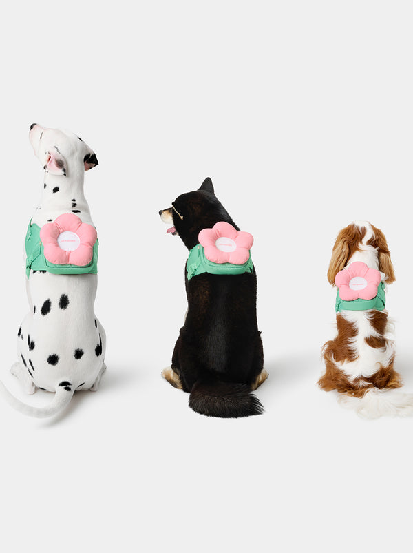 VETRESKA Flora Pet Backpack & Harness 3 in 1 Set (XS)
