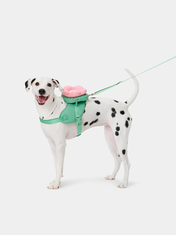 VETRESKA Flora Pet Backpack & Harness 3 in 1 Set (XS)