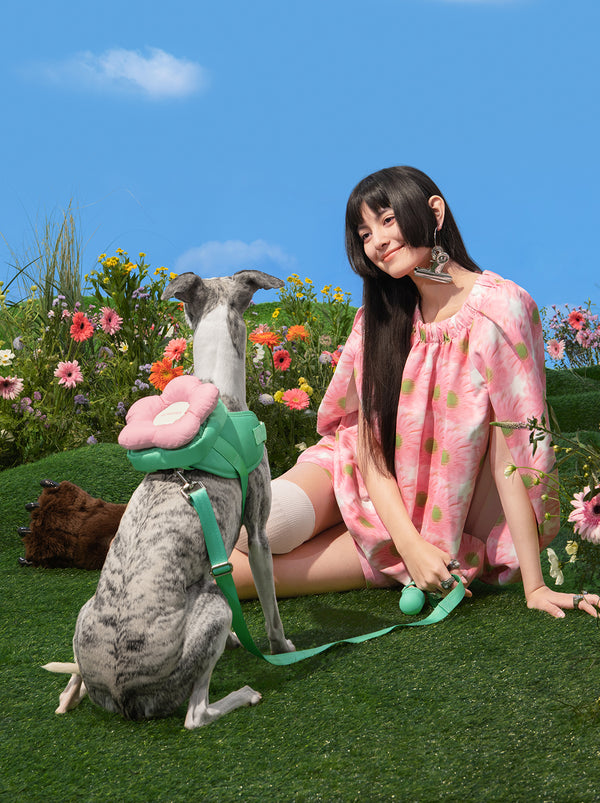 VETRESKA Flora Pet Backpack & Harness 3 in 1 Set (S)