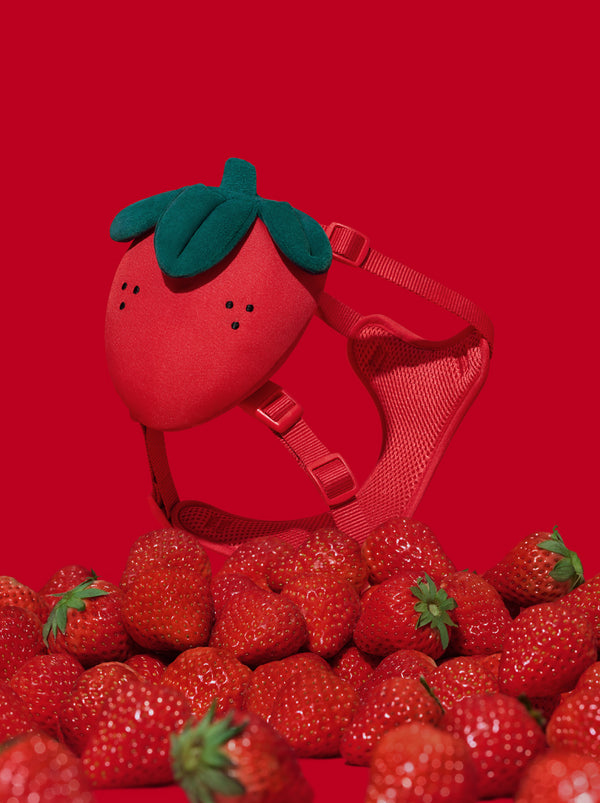 VETRESKA Strawberry Pet Backpack, Harness & Leash Set (XS)