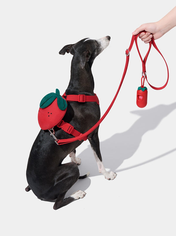 VETRESKA Strawberry Pet Backpack, Harness & Leash Set (XS)