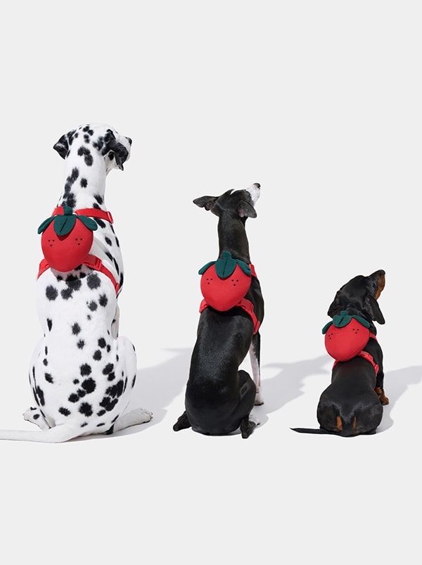 VETRESKA Strawberry Pet Backpack, Harness & Leash Set (S)