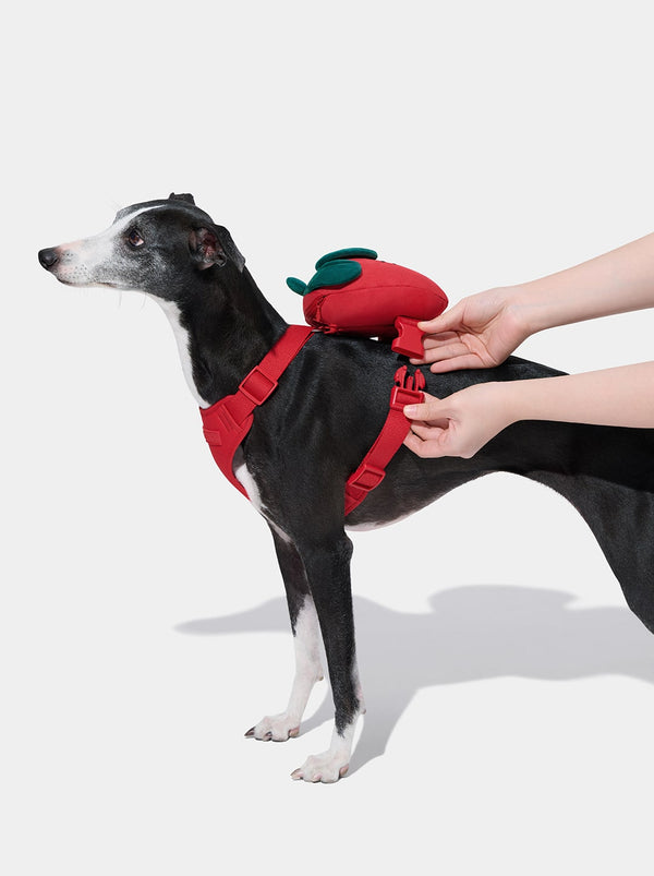 VETRESKA Strawberry Pet Backpack, Harness & Leash Set (S)