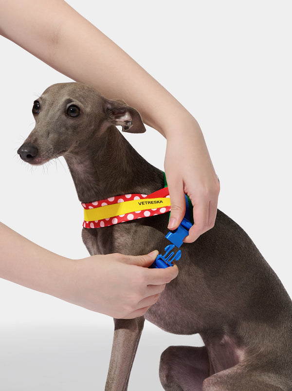 VETRESKA Chroma Pet Harness & Leash Set-Red (M)
