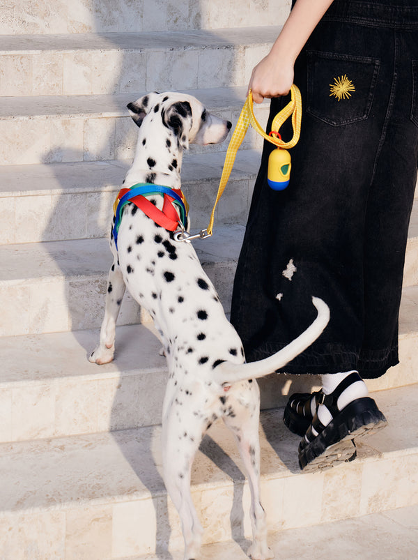 VETRESKA Chroma Pet Harness & Leash Set-Yellow (M)