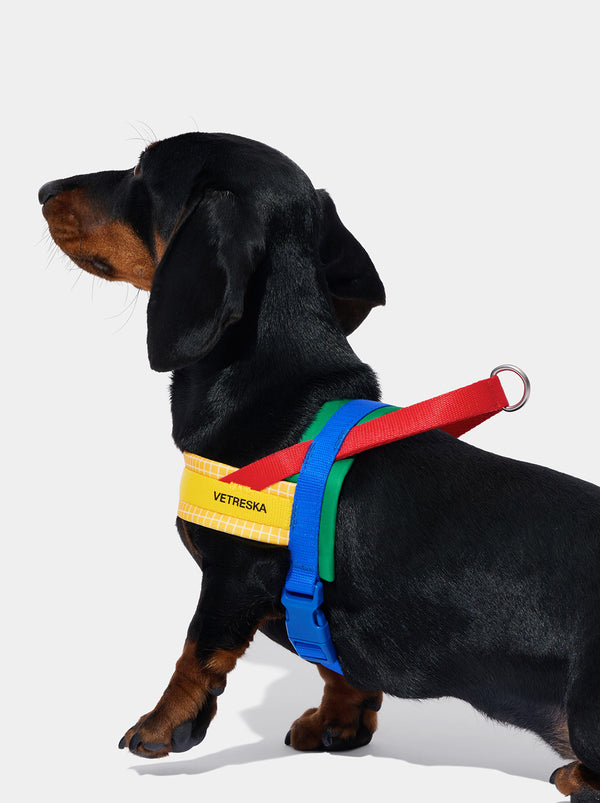 VETRESKA Chroma Pet Harness & Leash Set-Yellow (M)