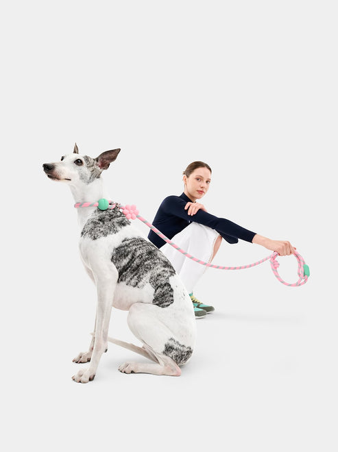 VETRESKA Connect Hands-Free Rope Leash for Pets (Flora)