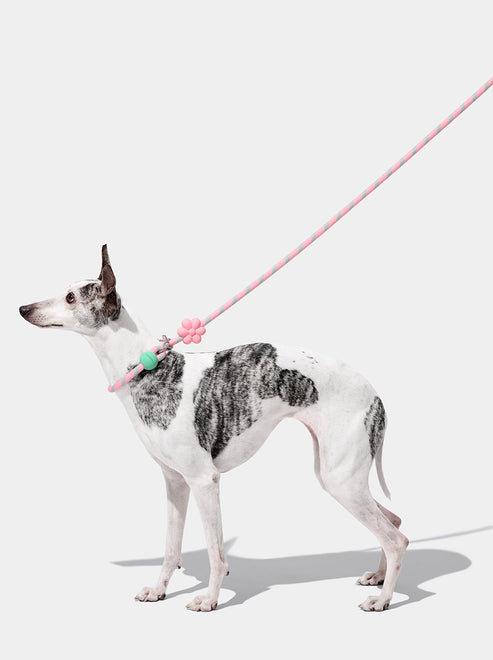 VETRESKA Connect Hands-Free Rope Leash for Pets (Flora)