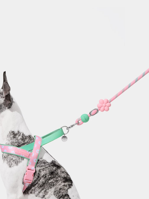 VETRESKA Connect Hands-Free Rope Leash for Pets (Flora)