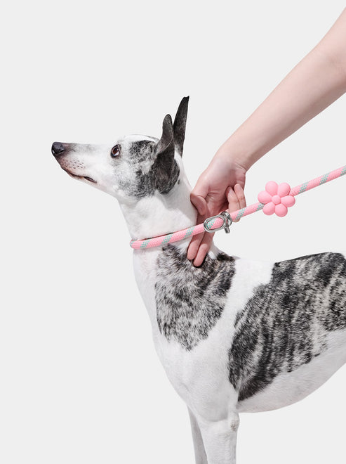 VETRESKA Connect Hands-Free Rope Leash for Pets (Flora)