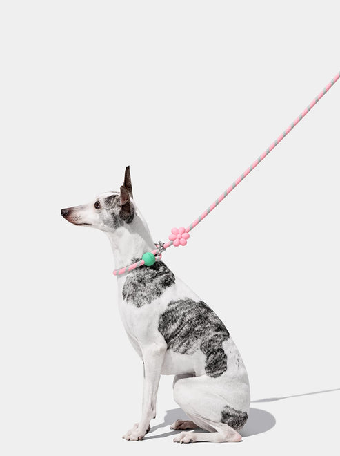 VETRESKA Connect Hands-Free Rope Leash for Pets (Flora)
