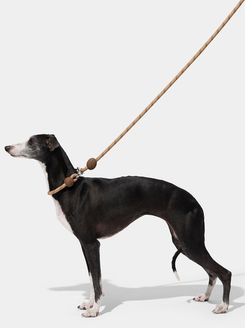 VETRESKA Connect Hands-Free Rope Leash for Pets (Coffee)