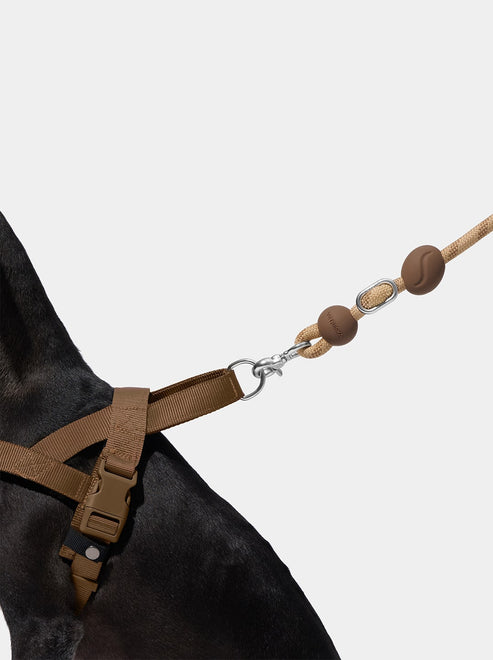 VETRESKA Connect Hands-Free Rope Leash for Pets (Coffee)