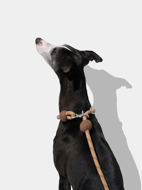 VETRESKA Connect Hands-Free Rope Leash for Pets (Coffee)