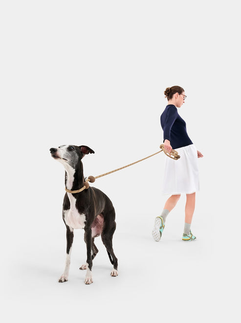 VETRESKA Connect Hands-Free Rope Leash for Pets (Coffee)