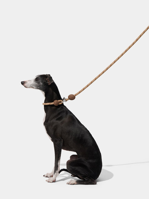 VETRESKA Connect Hands-Free Rope Leash for Pets (Coffee)