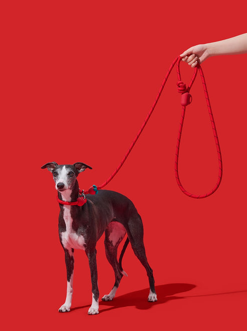 VETRESKA Connect Hands-Free Rope Leash for Pets (Strawberry)