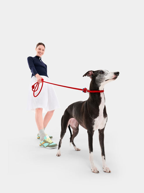VETRESKA Connect Hands-Free Rope Leash for Pets (Strawberry)