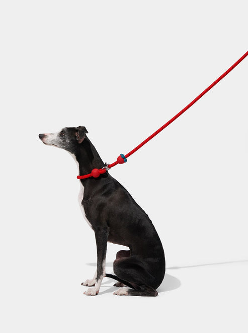VETRESKA Connect Hands-Free Rope Leash for Pets (Strawberry)