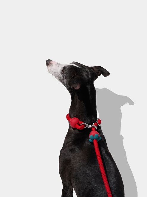 VETRESKA Connect Hands-Free Rope Leash for Pets (Strawberry)
