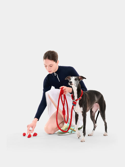 VETRESKA Connect Hands-Free Rope Leash for Pets (Strawberry)