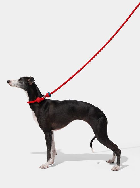 VETRESKA Connect Hands-Free Rope Leash for Pets (Strawberry)