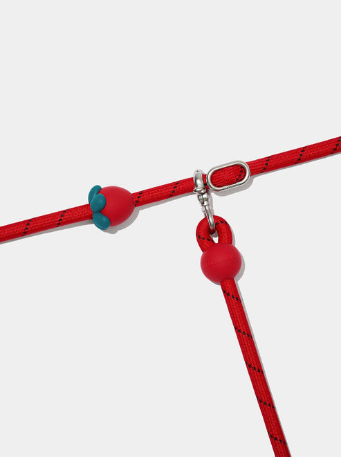 VETRESKA Connect Hands-Free Rope Leash for Pets (Strawberry)