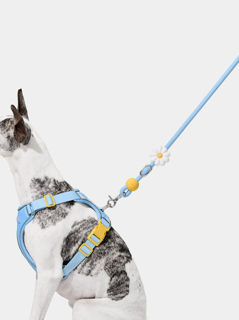VETRESKA Connect Hands-Free Rope Leash for Pets (Daisy)