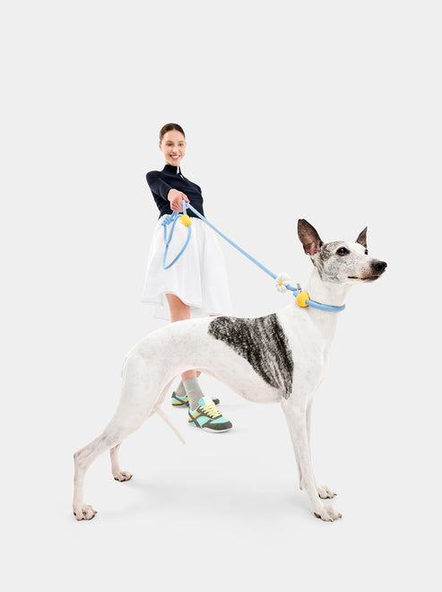 VETRESKA Connect Hands-Free Rope Leash for Pets (Daisy)