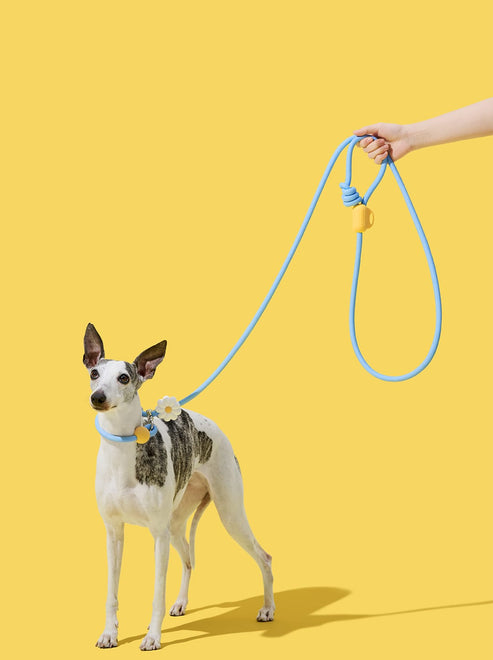 VETRESKA Connect Hands-Free Rope Leash for Pets (Daisy)