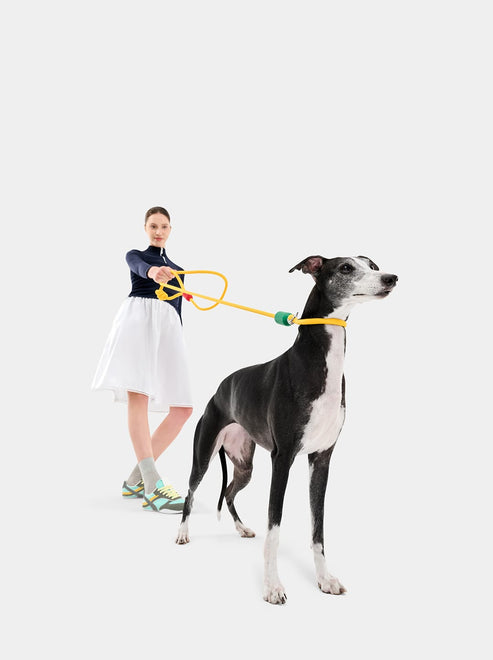 VETRESKA Connect Hands-Free Rope Leash for Pets (Chroma)