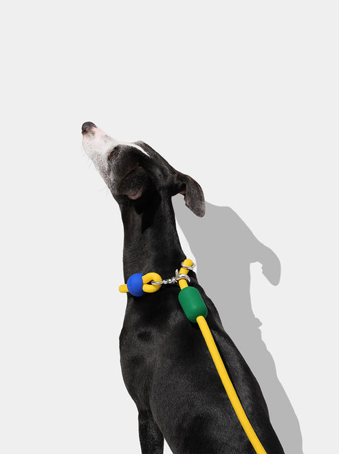 VETRESKA Connect Hands-Free Rope Leash for Pets (Chroma)