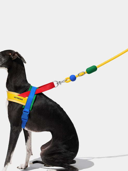 VETRESKA Connect Hands-Free Rope Leash for Pets (Chroma)