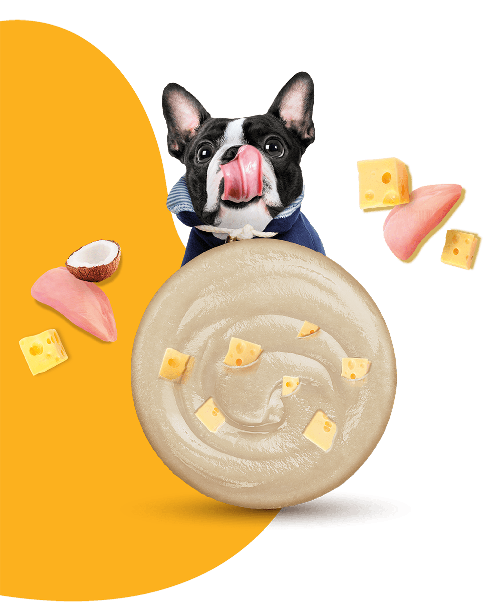 Moochie Dog Mousse - Chicken with Cheese Pouch 70g Pack of 12