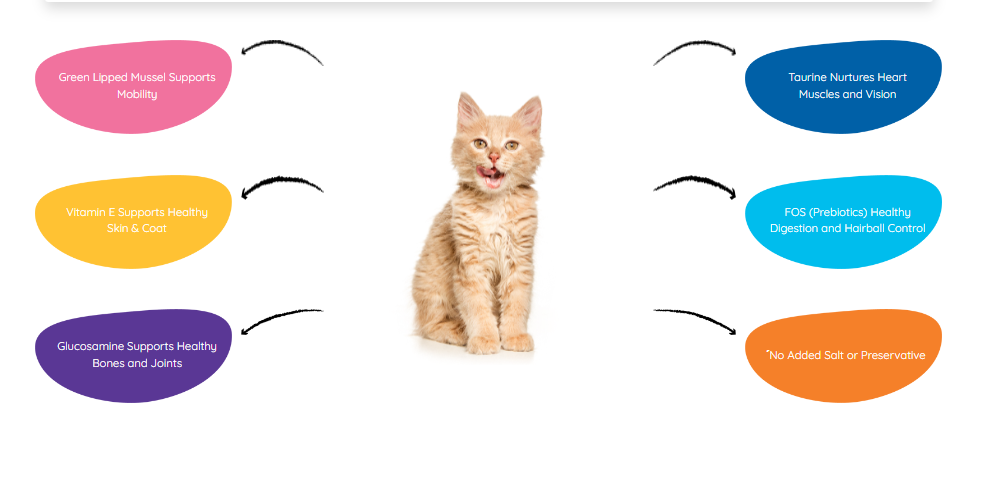 Moochie Cat Food Tuna & Green Lipped Mussel Recipe in Gravy Pouch 70g Pack of 12