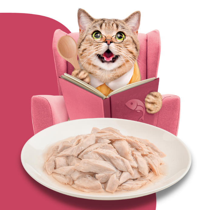 Moochie Tuna & Bonito Recipe in Jelly Pouch 70g Pack of 12