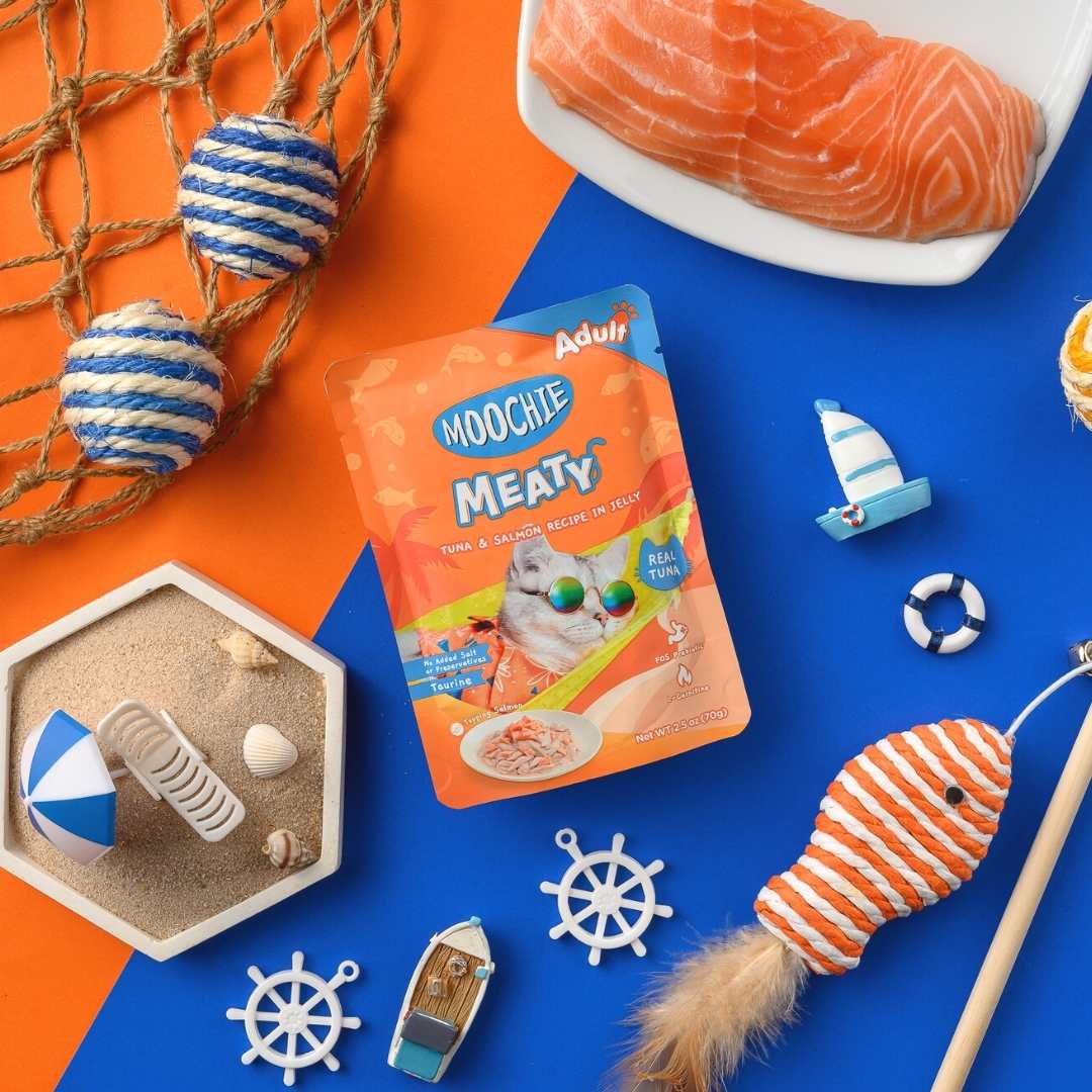 Moochie Cat Food Tuna with Salmon and Jelly 70g Pack of 12